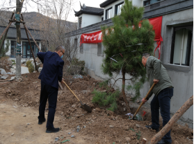 1649926656541923.jpg 1649926603(1).jpg